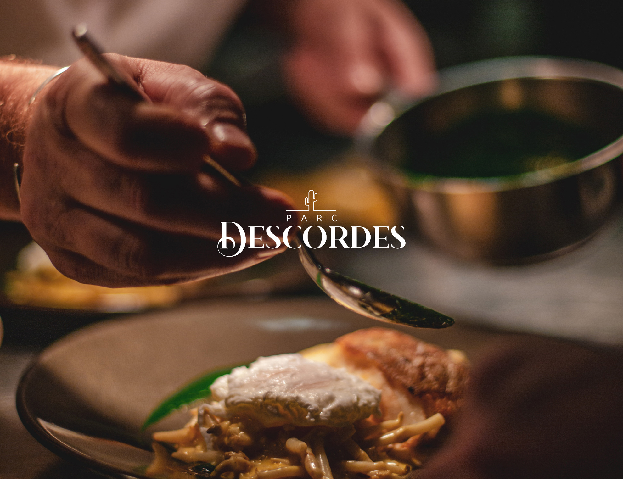 DAN | DESCORDES